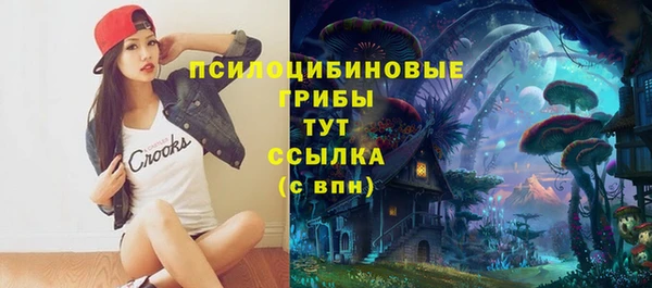 круглые Белокуриха